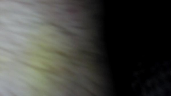 VIDEO0047