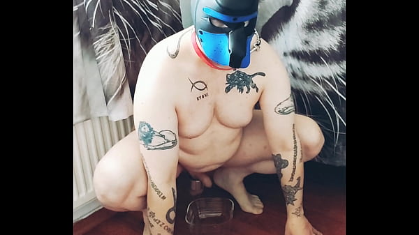 Gaywolf1990 Pissing Pet On Leash My Scorching Bitch