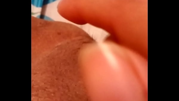 Cuca Mojada