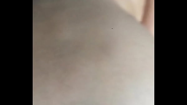 Bull Finishes Inside Honeypot