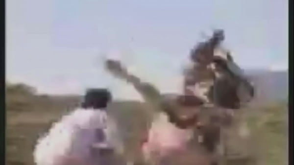 Shitpost: Hombre Luchando Contra Vaca Con Musica De Fondo De Linkin Park