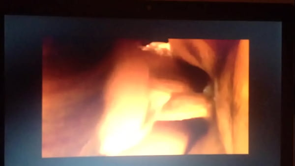 Charlotte Fox Bj