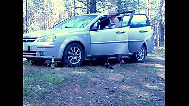 Holiday In Forest