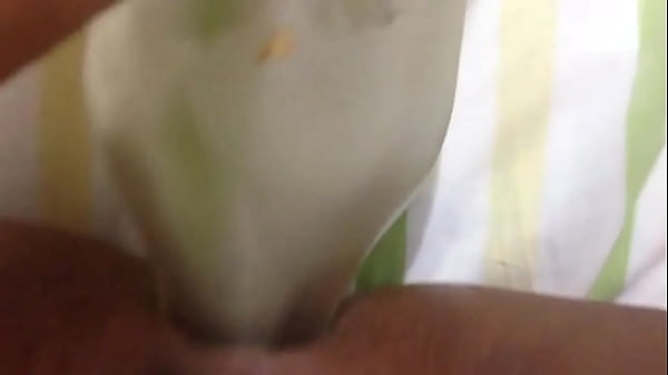 Dama De Compañia Service Prepago En Caracas