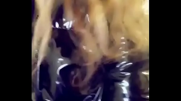 Tu Sexi Dominicana XD