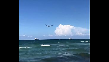 BIRDS FLYING ABOVE THE OCEAN
