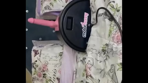 Kittenleexo Plows A Motor Bunny