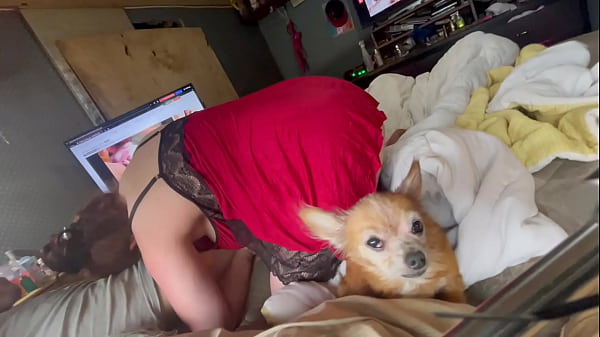 Wickedphoenix - Update #6 - IMG 2829 - Jun 03, 2024