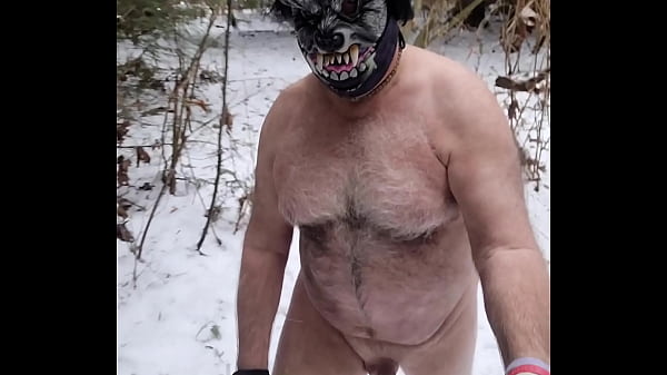 Winter Wonder Wolf