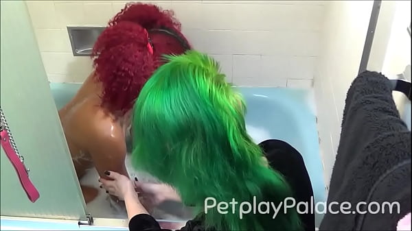 Bath Time For Doll Puggles Daisy Ducati Pet Play