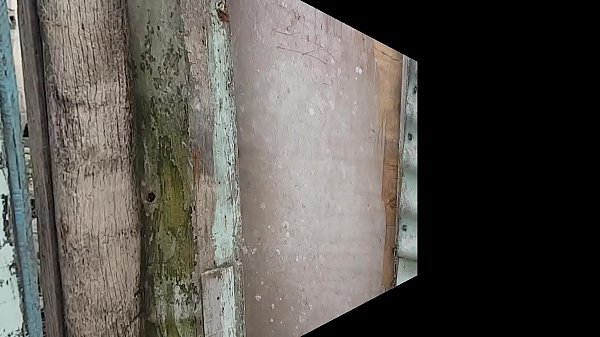 Paty Bumbum Procurando Negro Dotado Na Favela !!! Pretinho Facao - El Toro De Oro - Casal De Primos