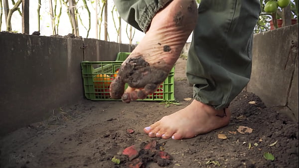 Squashing Tomatoes Barefoot In The Dirt ASMR