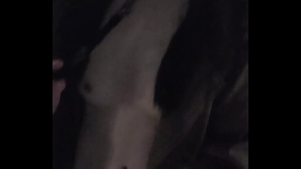 第一次户外露出