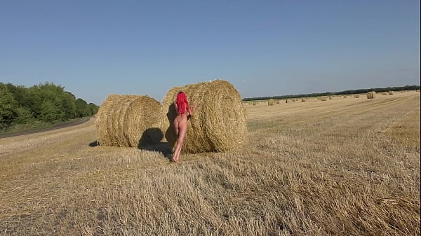 A Stripped Honey Moves Rollers With Hay!