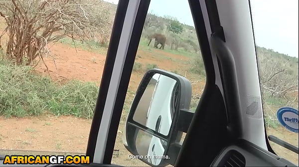 Beautiful Black Lover Reaches Honeypot Banged Travelling Across African Wilderness
