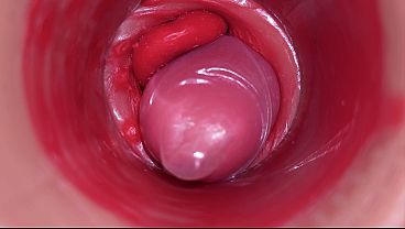 Inside A Camgirl Cervix POV Camera In Vagina With Massive Shaft Toy