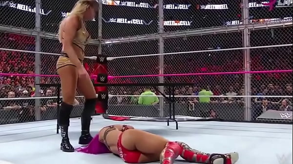Sasha Banks Scorching Ass WWE Hell In A Cell 2016