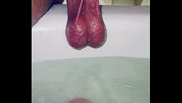 Late Night Needy Nutsack Full Of Spooge