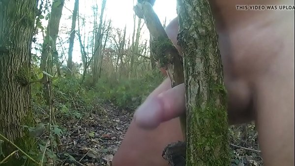 Tugging In Woods 04