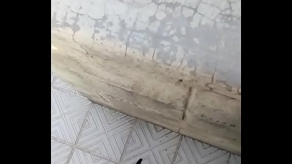 Me Robe Las Tangas De Mi Vecina