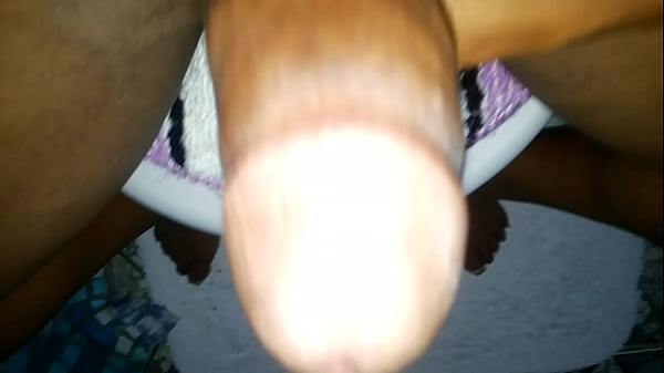 Meu PAU