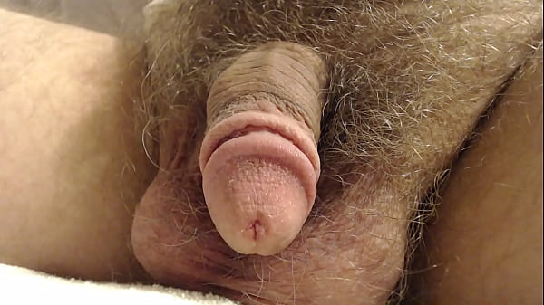 Penis Close Up 3