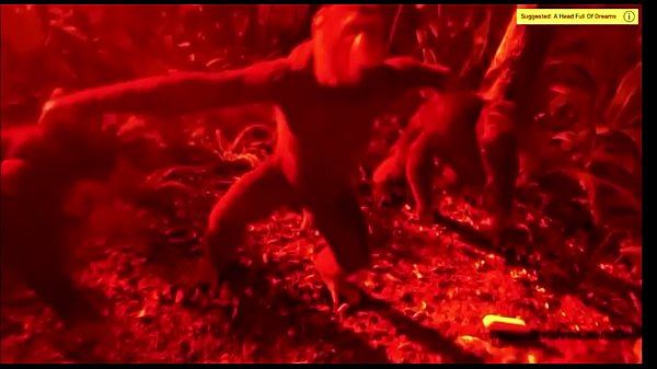 Grungle Tribe Ritual 2020