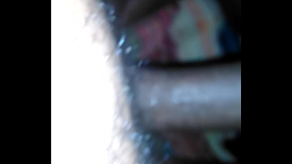 Wet Ebony Cooch