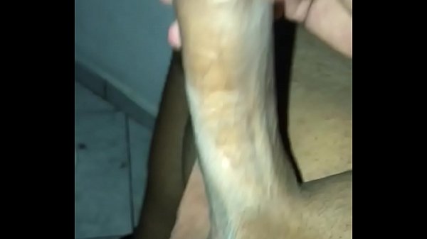 Pau De Perto Sem Pelos