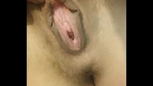 Conchuda