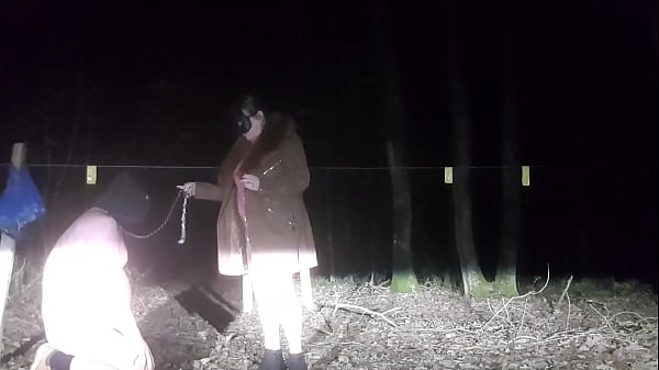 Promenade Hivernale Dans Les Bois