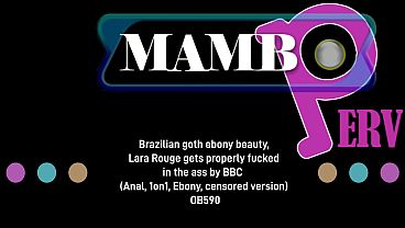 Brazilian Goth Ebony Knockout, Lara Rouge Gets Properly Pounded In The Butt By Bbc (Ass Play, 1on1, Ebony, Censored Version, Bbc, Nasty Whispers) OB590