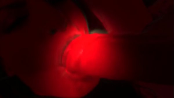 Laura Babe Fuck With Twin Peaks Music Awsome