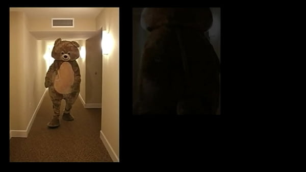 The Striptease Bears House Call