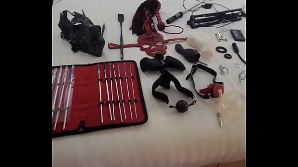 Unpacked All My Wild Toys In A Dallas Hotel Room