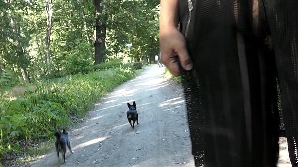 Hairy Older In Transparent Dress Baring In The Park