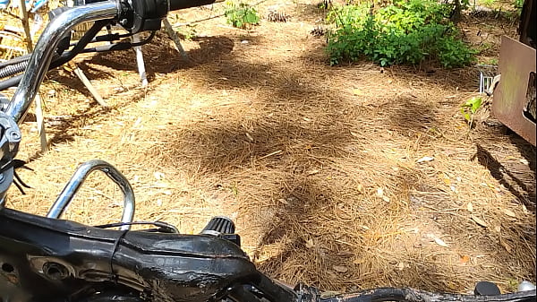Shibauradave 2 Project Motorcycles