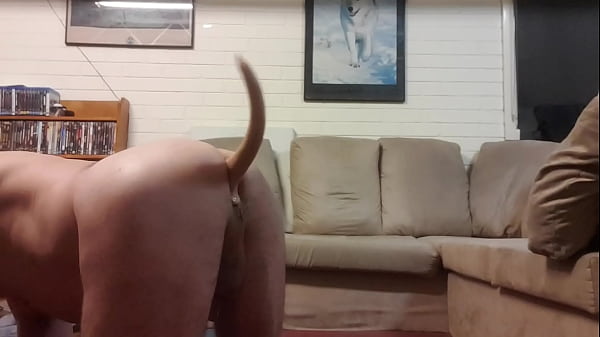 When I Got My New Puppy Dog Tail Rump Cram I Took A Video And Sent It To The Manufacturer Thanking Him For The Awesome Massage. He Worked It On His Website For Awhile