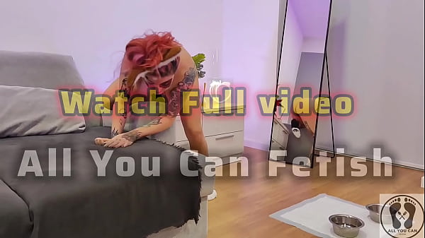 PROMO POOCH KNEADING COUCH AND MASTURBATES WITH SPECIAL DILDO