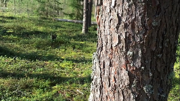 Teen Babe In Short Shorts Walks In The Forest And Gets Randy, She Flaunts Her Lecherous Cunt, Slurps Member And Rams Rear Entry - Forest Fun Of Real Couple POV Sex