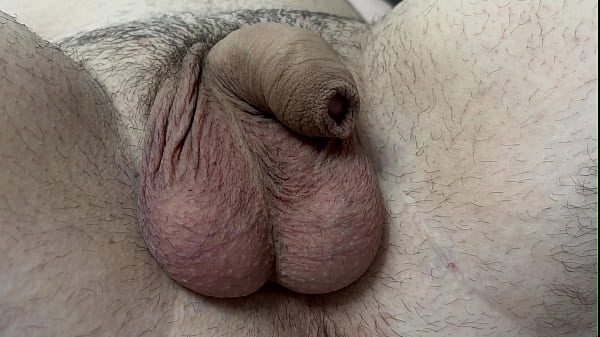 Compact Penis