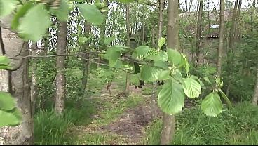 Fair-haired Cutie Vixens Lost In The Forest Meets Two Enormous Boners