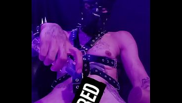 Da Dog.( Todo El Contenido En XVIDEOS Red)