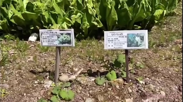 川と温泉【なっち旅】