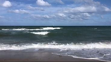 OCEAN