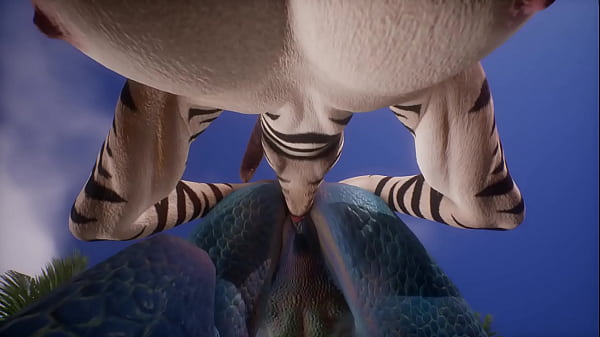 Lizard And Zebra Go All The Way On The Beach - Wildlife