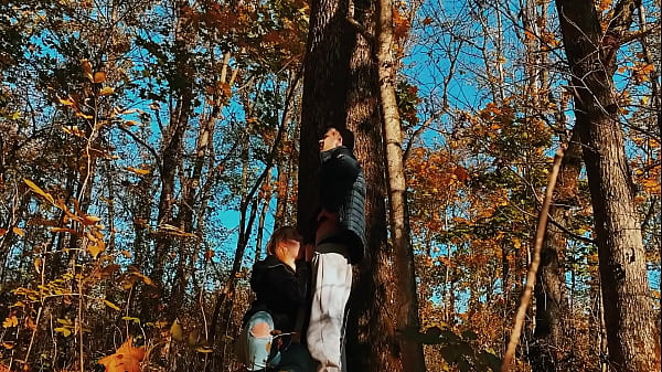Drilled A Goddess With A Thick Rear In The Forest While Walking