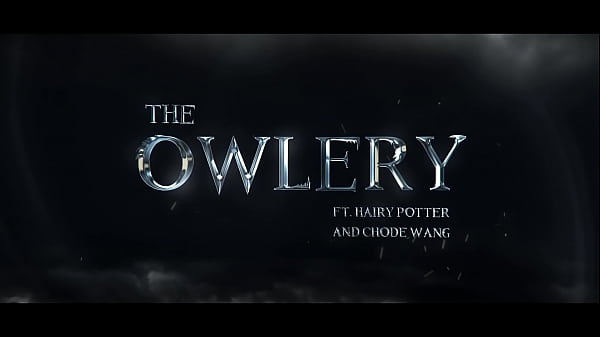 Chode Wang And The Owlery - Gobbywarts//School Of Sexcraft And Wickedry//SIMS 4//Harry Potter Rule 34 Porn