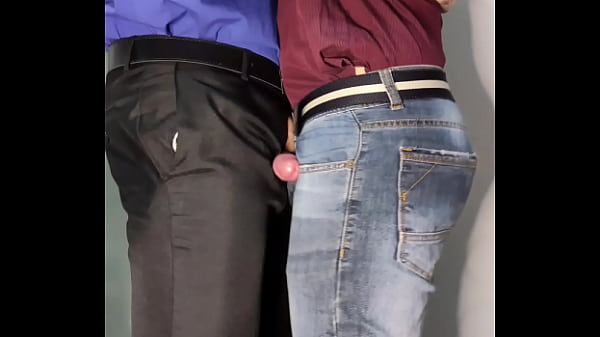 2 Machos Trabalhando Em Casa Da Nisso