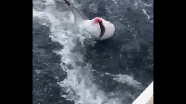 FISHING TRIP